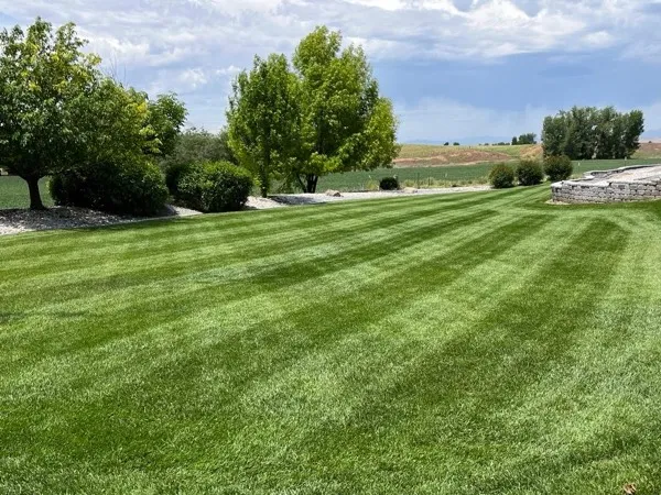 Mowing service