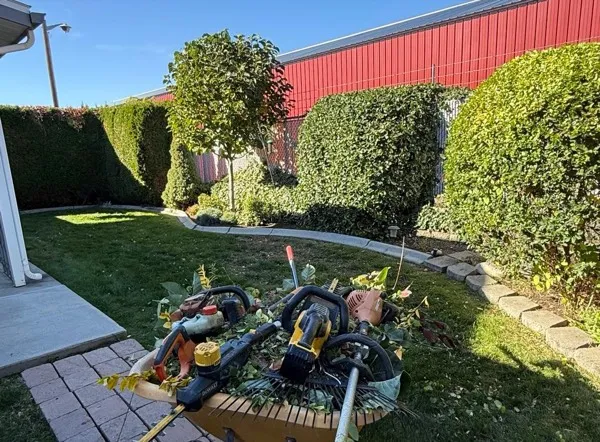 Shrub Trimming & Bush Pruning service