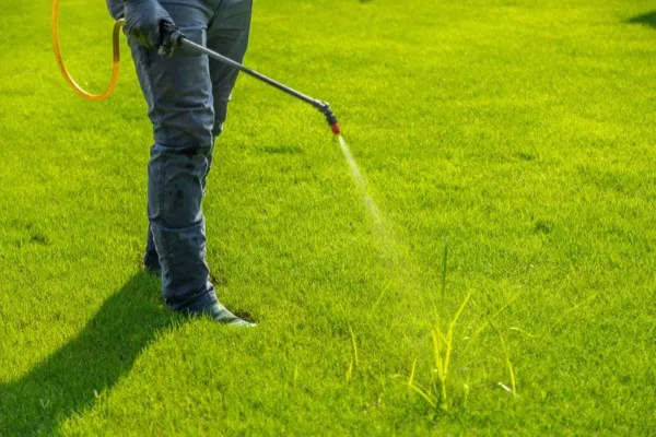Spraying service